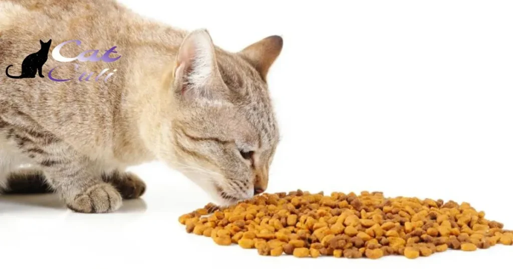 A Glimpse Into Cat Food Composition