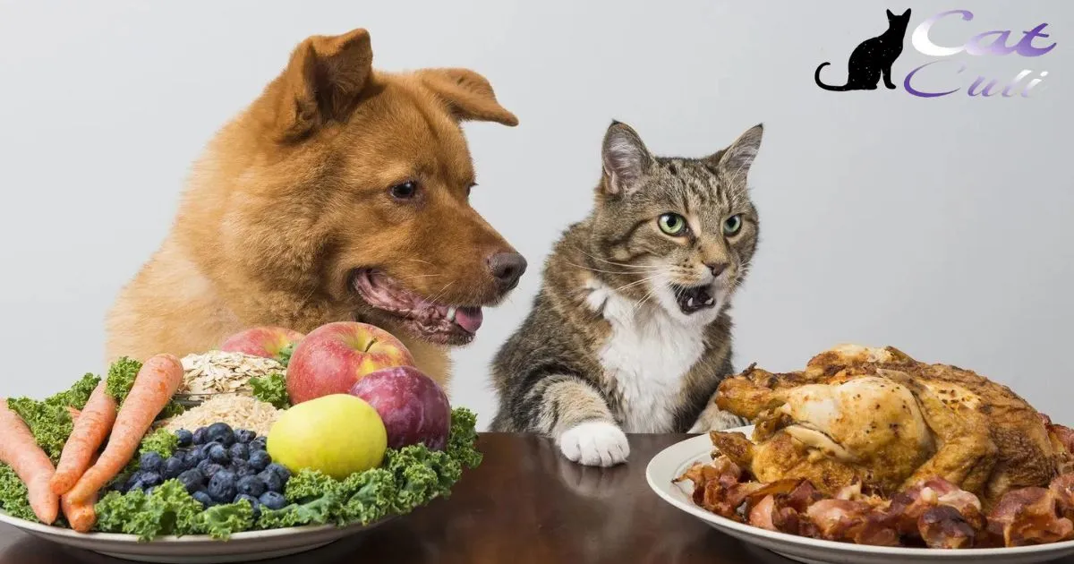 Can Chickens Eat Cat Food Or Dog Food?