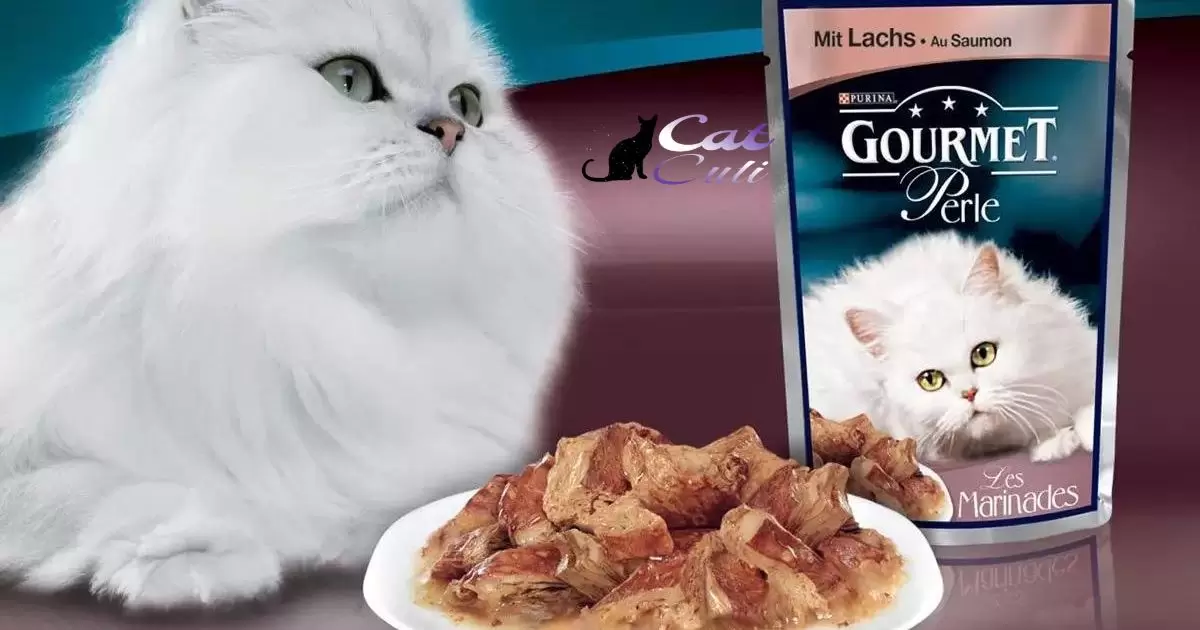 Can You Buy Cat Food With Link?