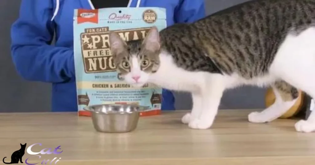 Can You Freeze Dry Cat Food?