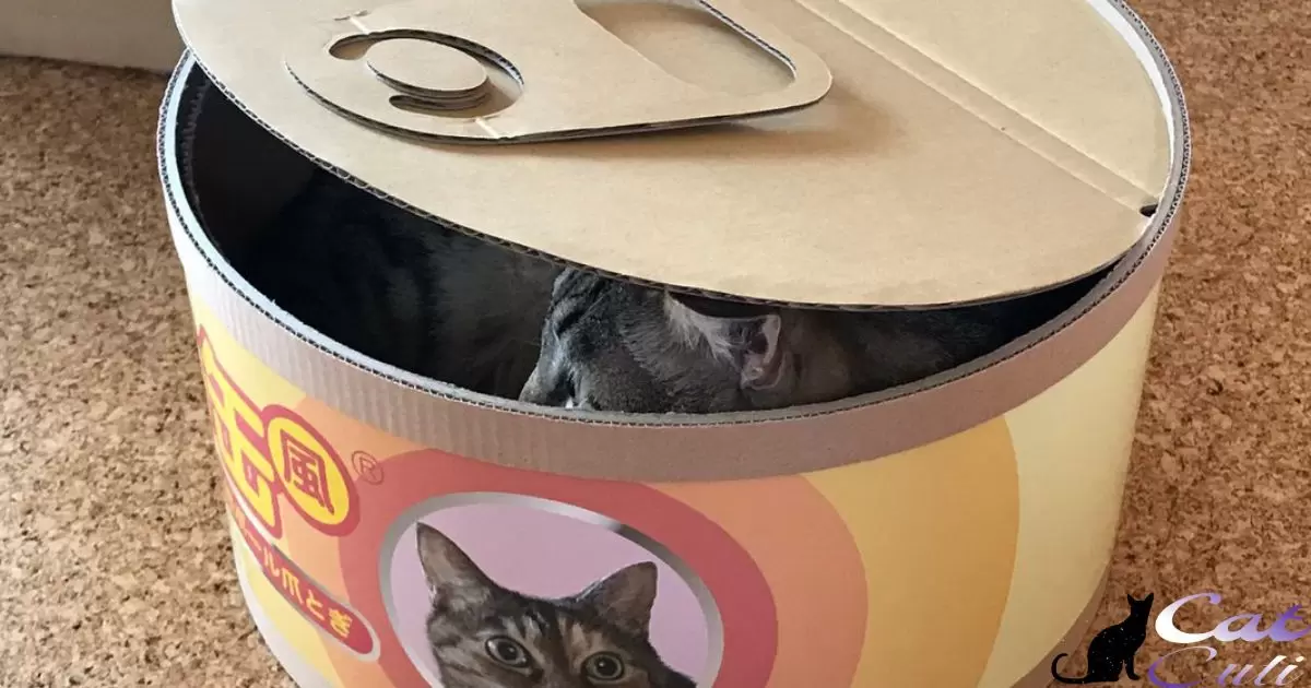 Can You Recycle Cat Food Cans?
