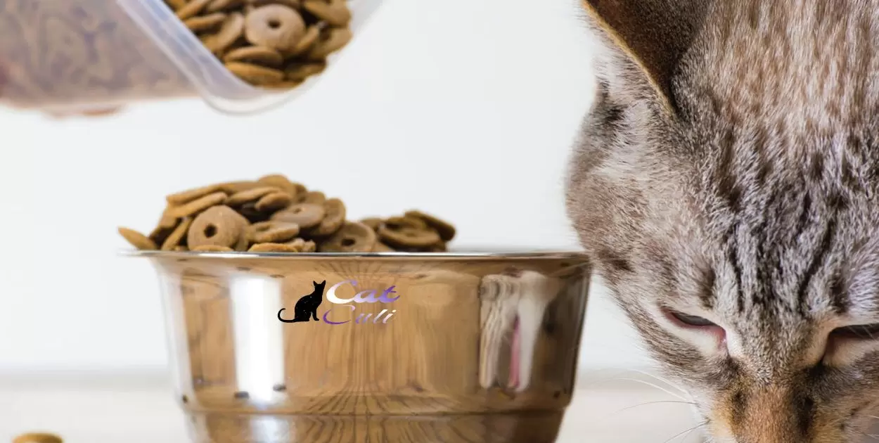 Cat Food Ingredients and Their Effects