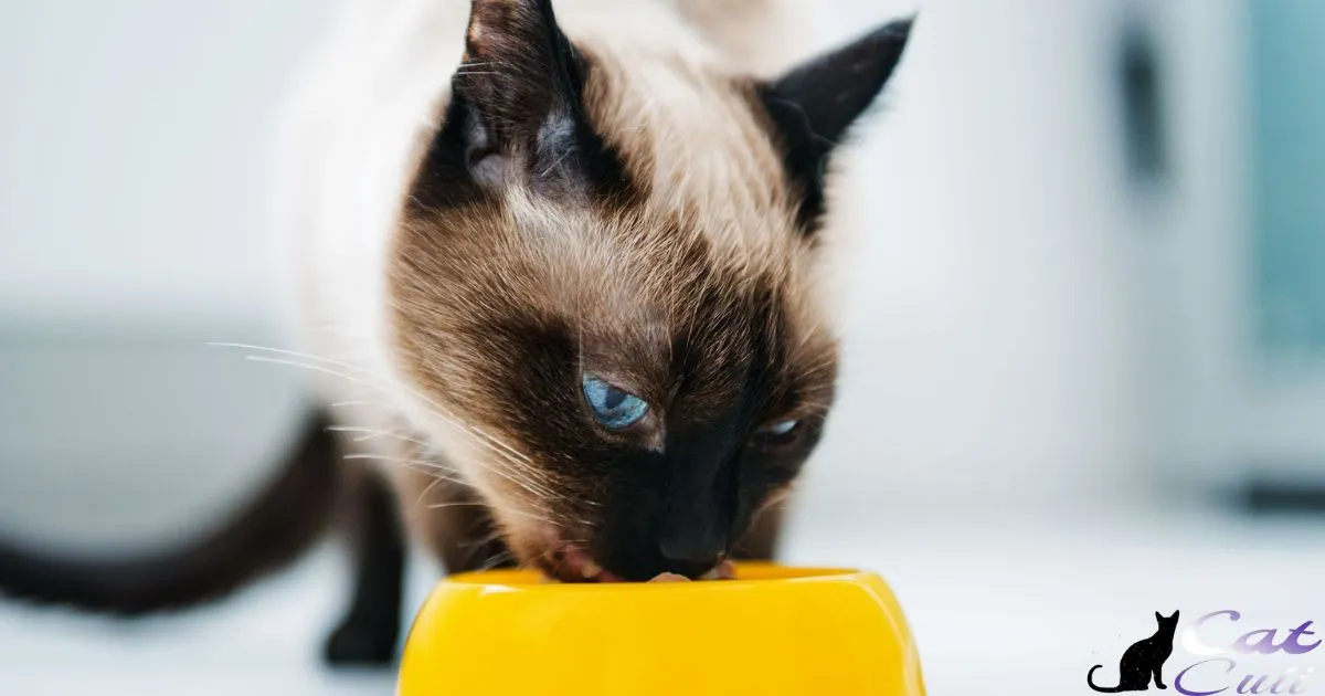 Does Temptations Make Cat Food?