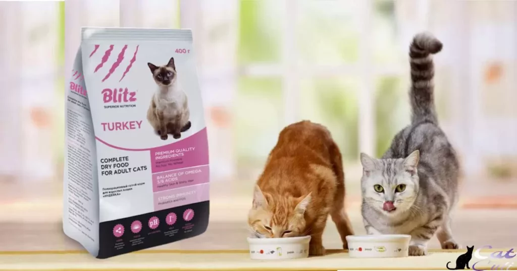 Exploring the Reputation and Reliability of Instinct Cat Food