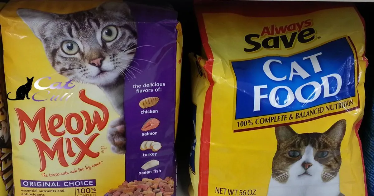 How Long Does A Bag Of Cat Food Last?