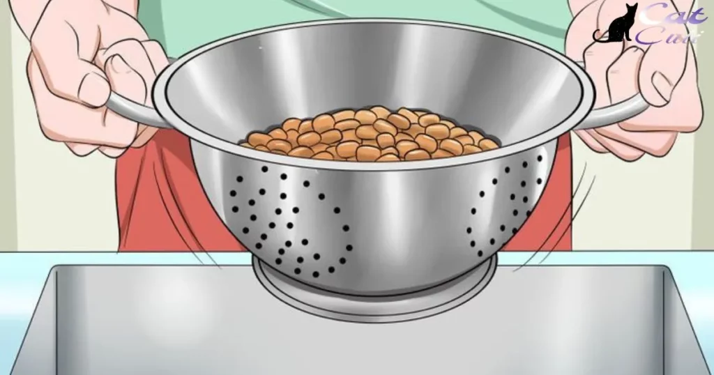 How To Keep Roaches Out Of Cat Food Bowl