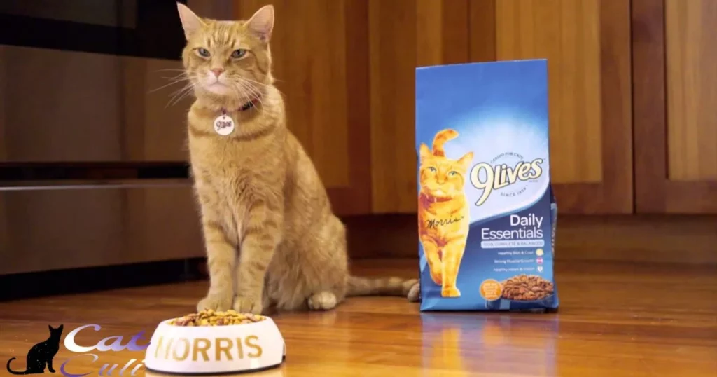 Is Pate Or Gravy Better For Cats