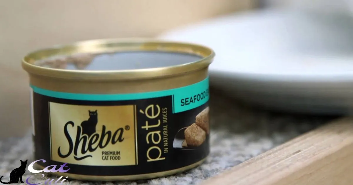 Is Sheba Cat Food Good For Kittens?
