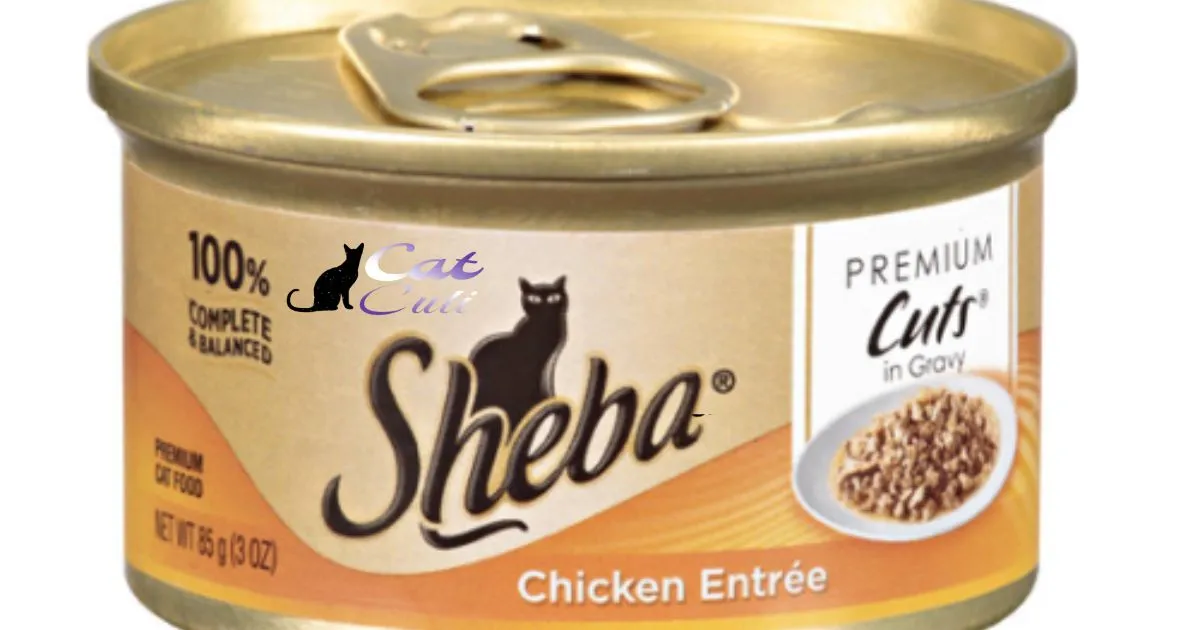 Is Sheba Cat Food Good For My Cat?