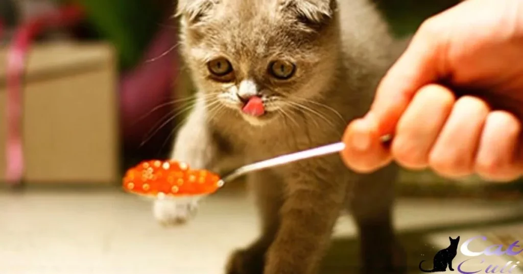 Is Tastefuls A Good Cat Food