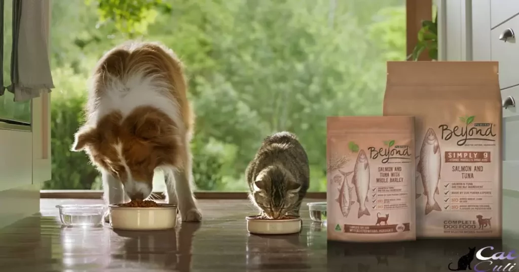 Pros and Cons of Choosing Instinct Cat Food for Your Pet