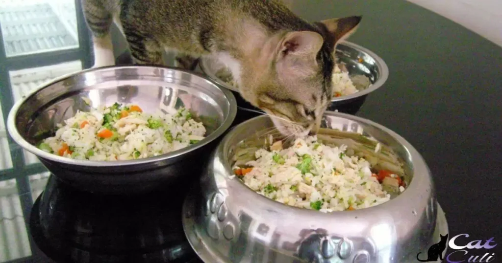 Quick And Easy: Gas Stations Offering Cat Food