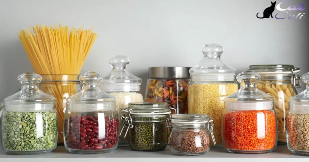 Store Food In Pest-Proof Containers