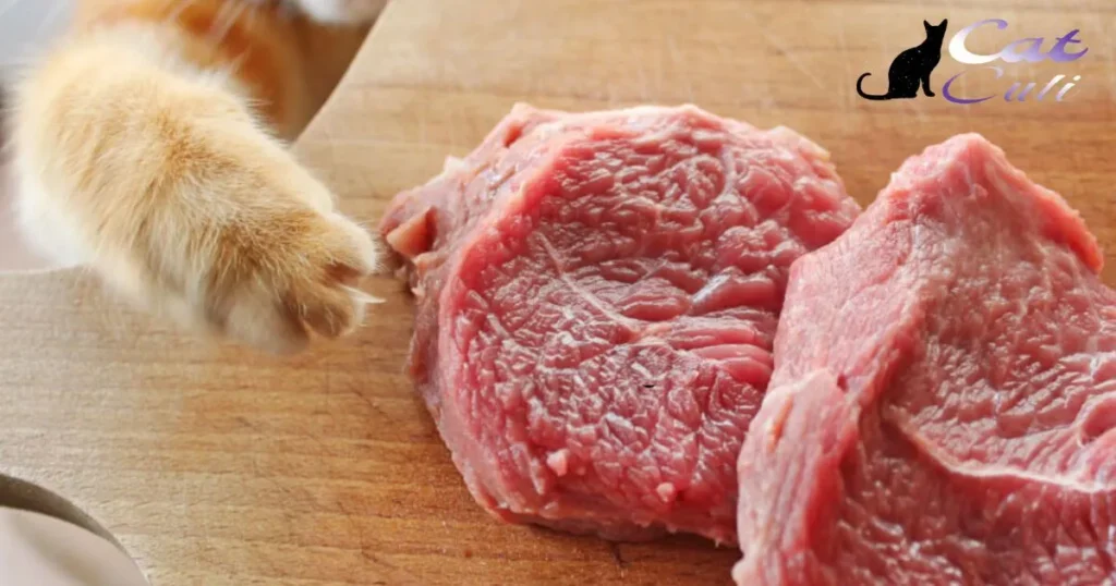 What Is Cat Meat Called