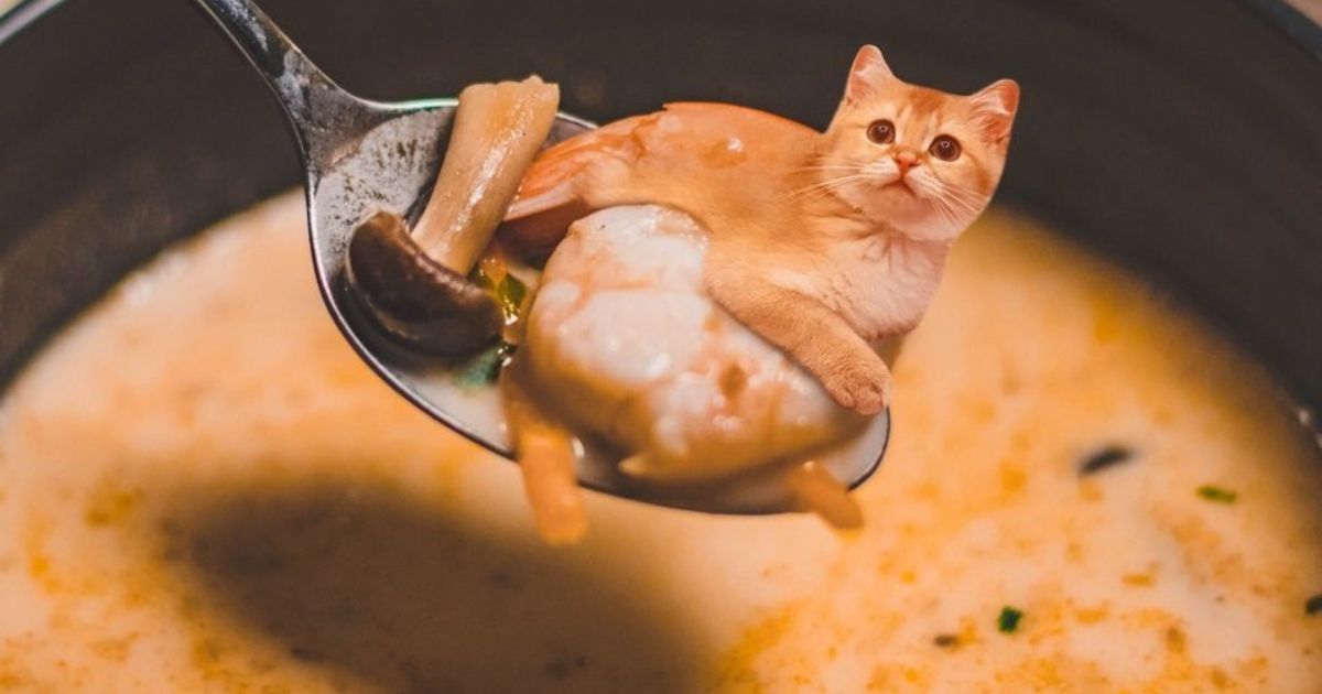 What Is Chicken Meal In Cat Food?