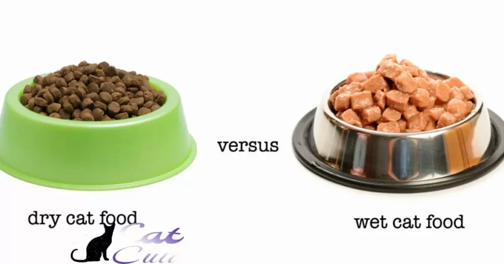 What Is Wet Cat Food?