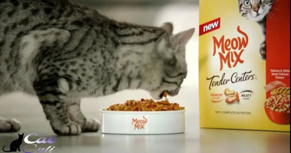 Why Is Meow Mix Bad For Cats