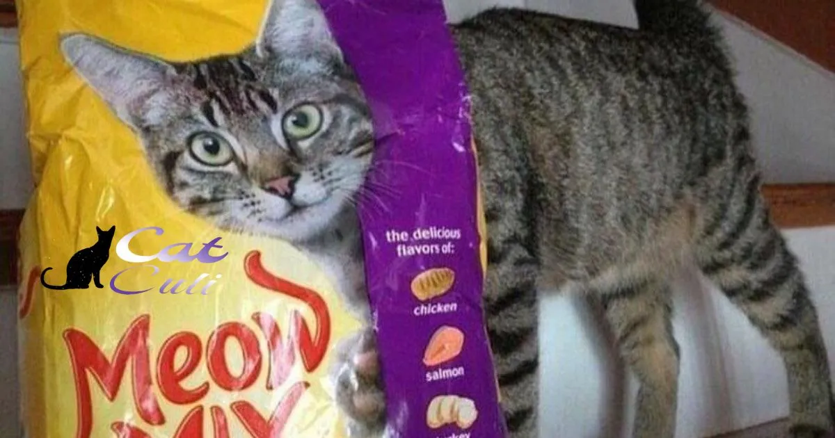 Why Is There A Shortage Of Meow Mix Cat Food?