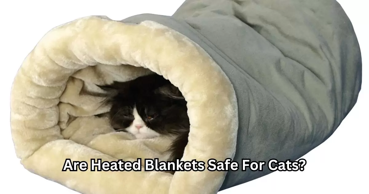 Are Heated Blankets Safe For Cats?