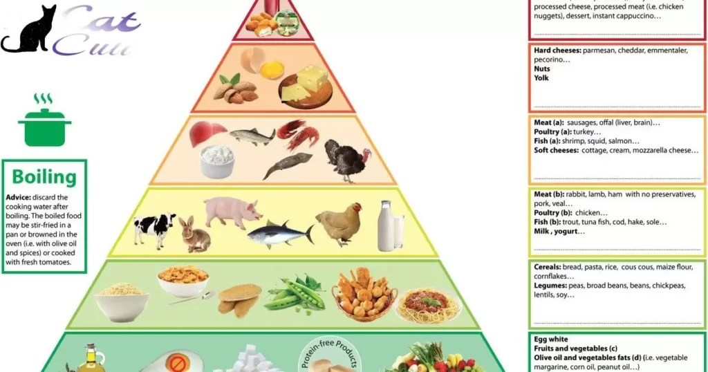 Cat Food Phosphorus Chart