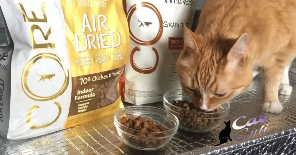 How Long Does Dry Cat Food Last In Bowl