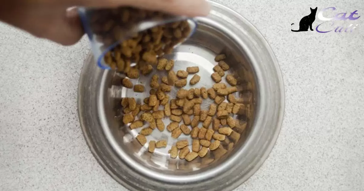 How Many Cups Are In A Pound Of Cat Food?