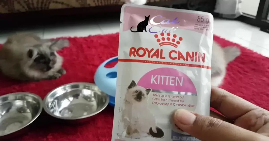 How Much Royal Canin Wet Food Should I Feed My Cat?