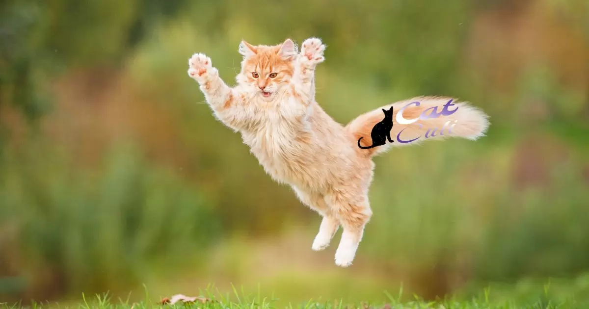 Instinctual Behaviours: Cat's Surprising Leaps