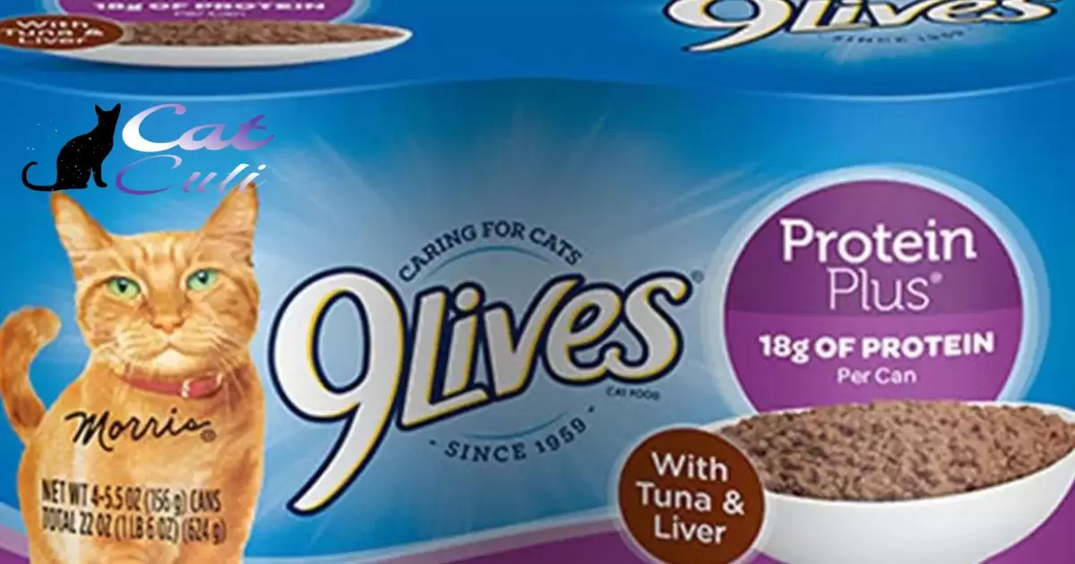 Is 9 Lives A Good Wet Cat Food?