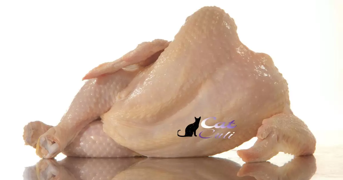 Is Cat Food Bad For Chickens?