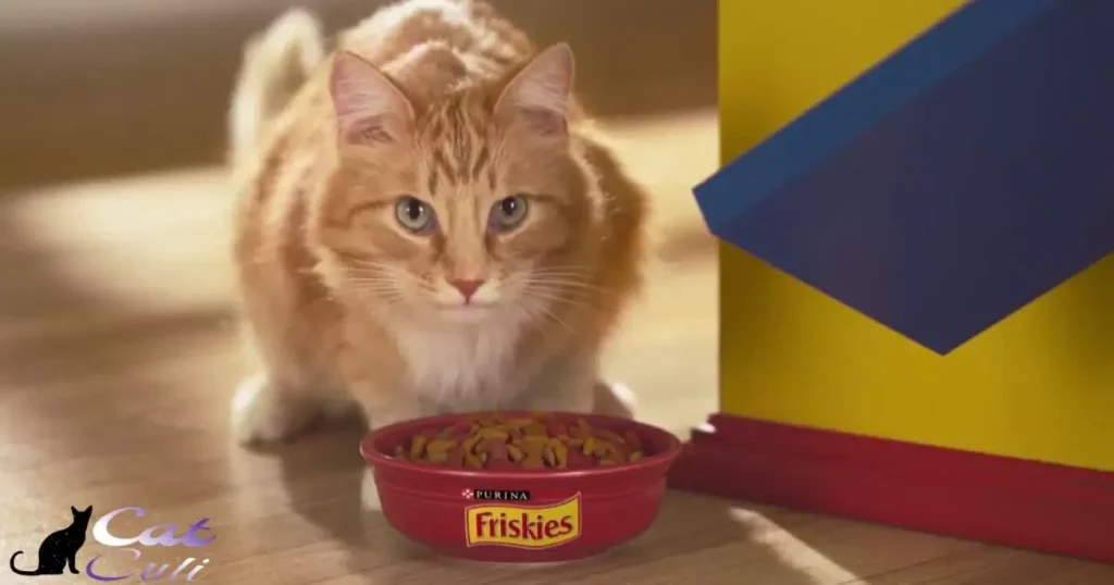 Is Friskies Cat Food Worth It?