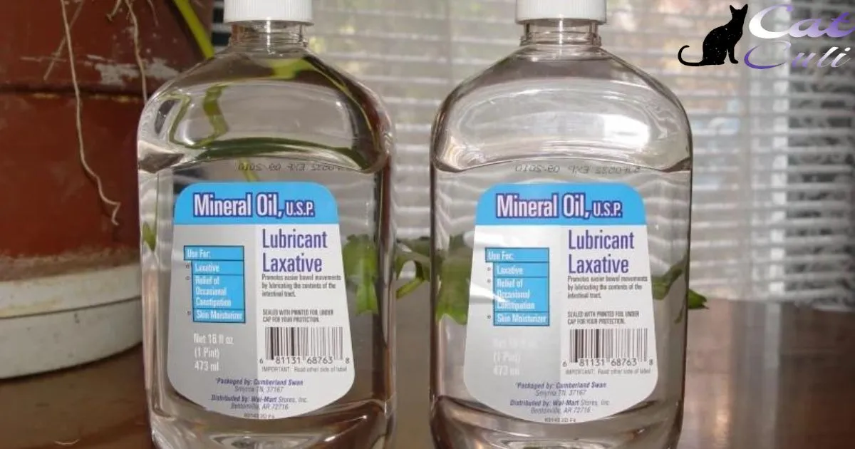 Is Mineral Oil Safe For Cats?