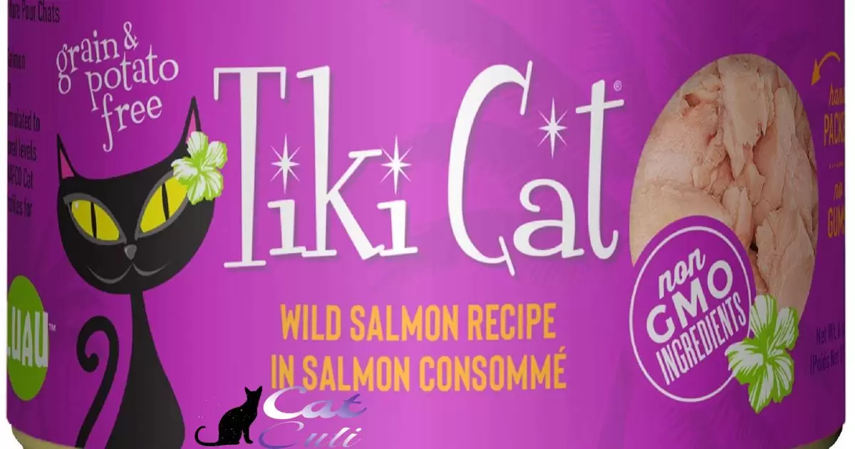 Is Tiki Cat Wet Food Good?