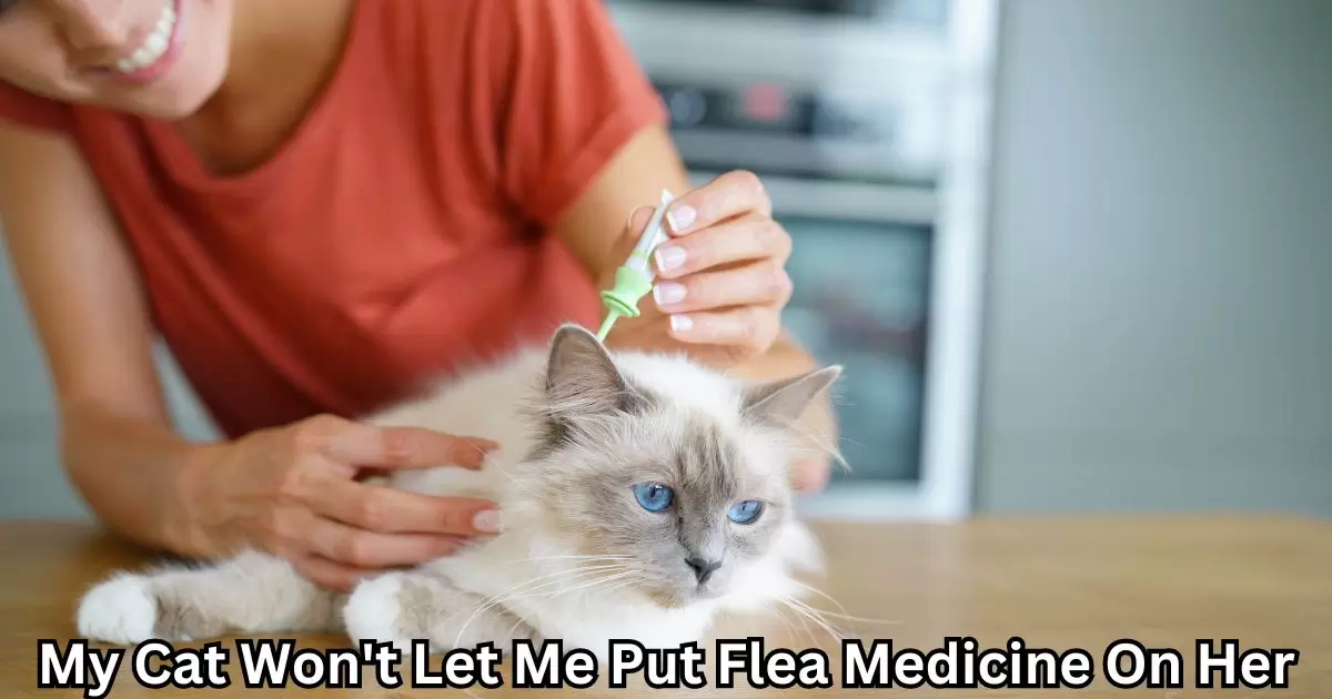 My Cat Won't Let Me Put Flea Medicine On Her