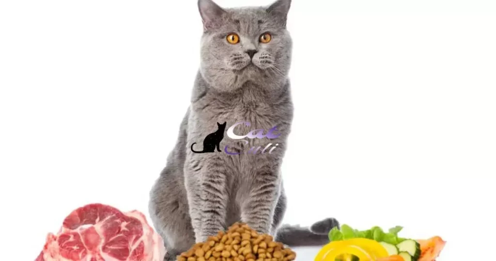 Swift Ways To Gather Cat Food
