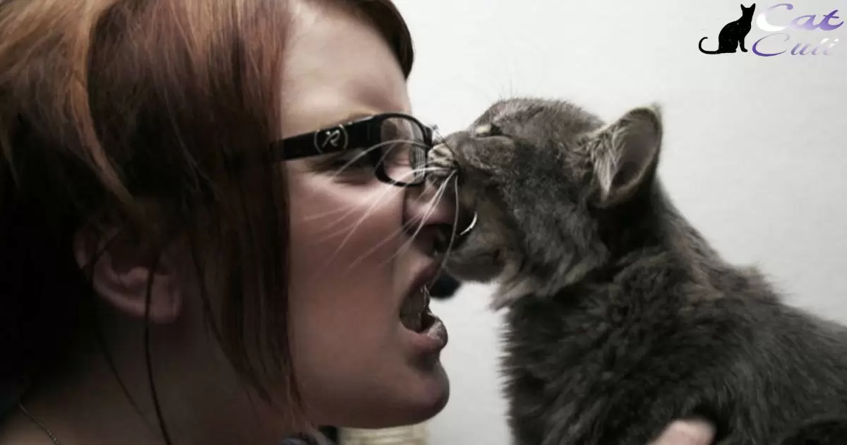 Tail-Biting Cats: Addressing Root Causes