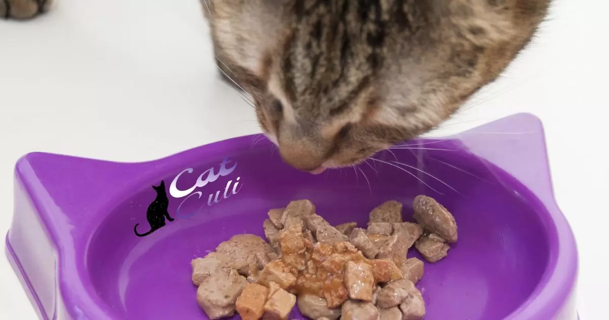 What Happened To Tender Vittles Cat Food?