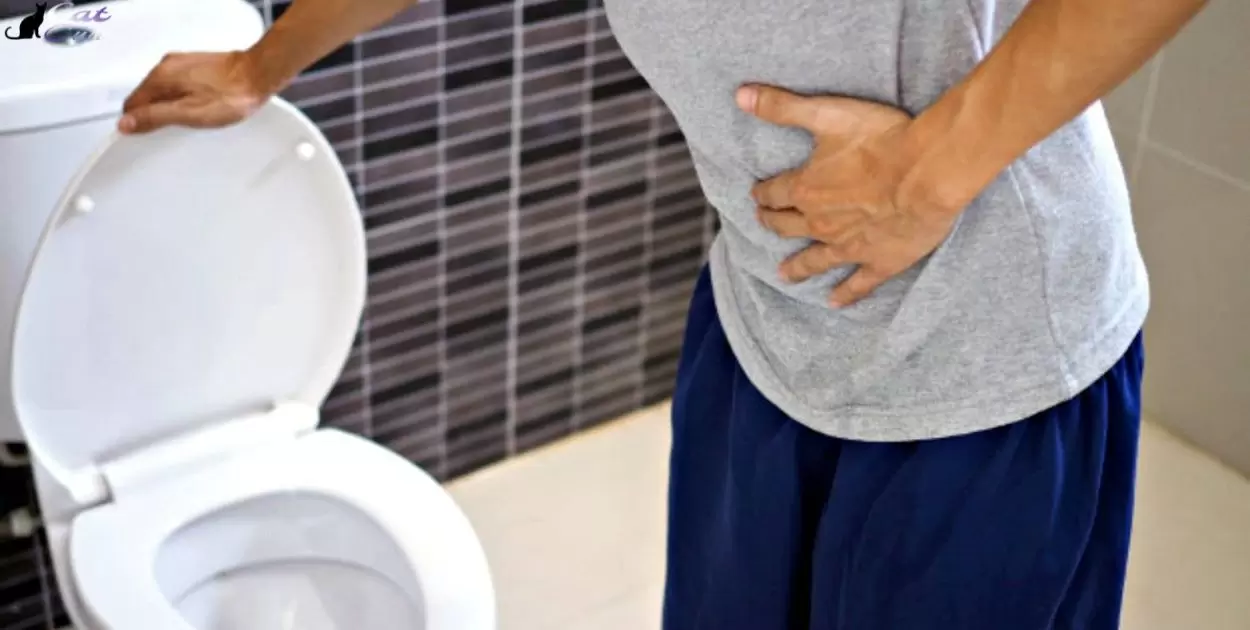 When To Worry About Foamy Urination