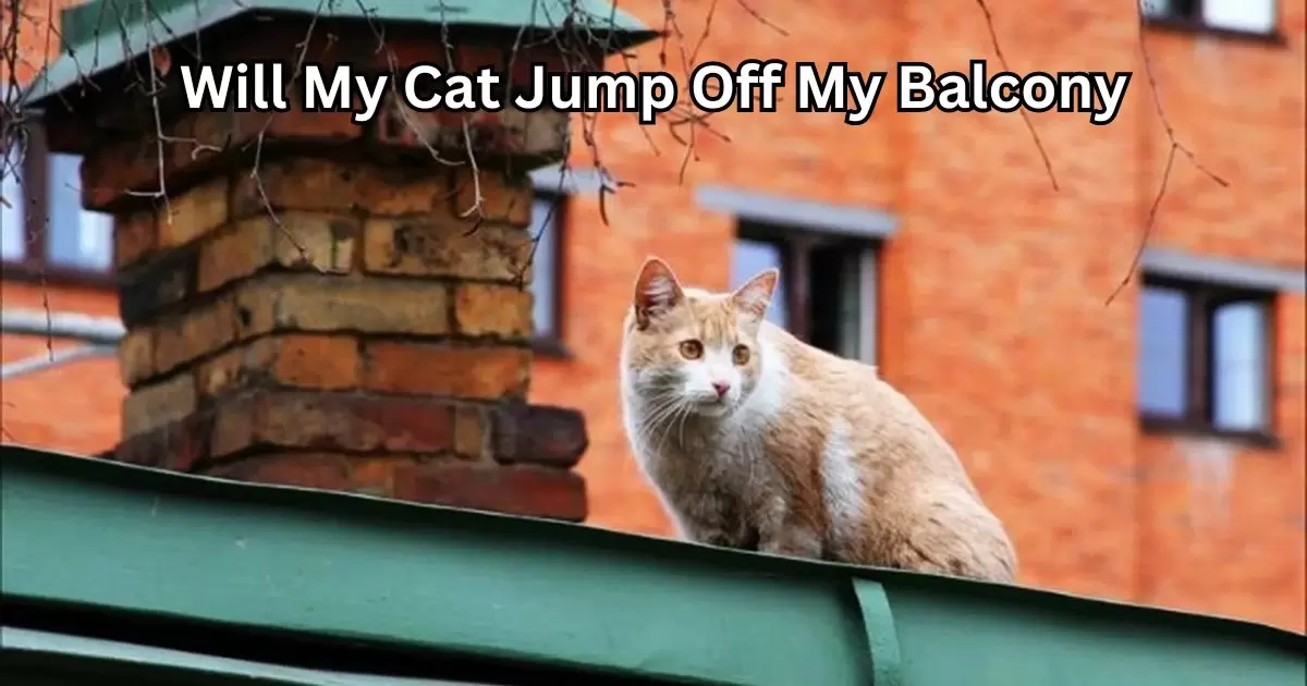 Will My Cat Jump Off My Balcony