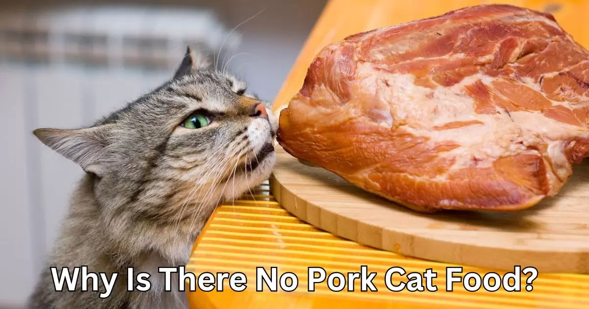 Why Is There No Pork Cat Food?