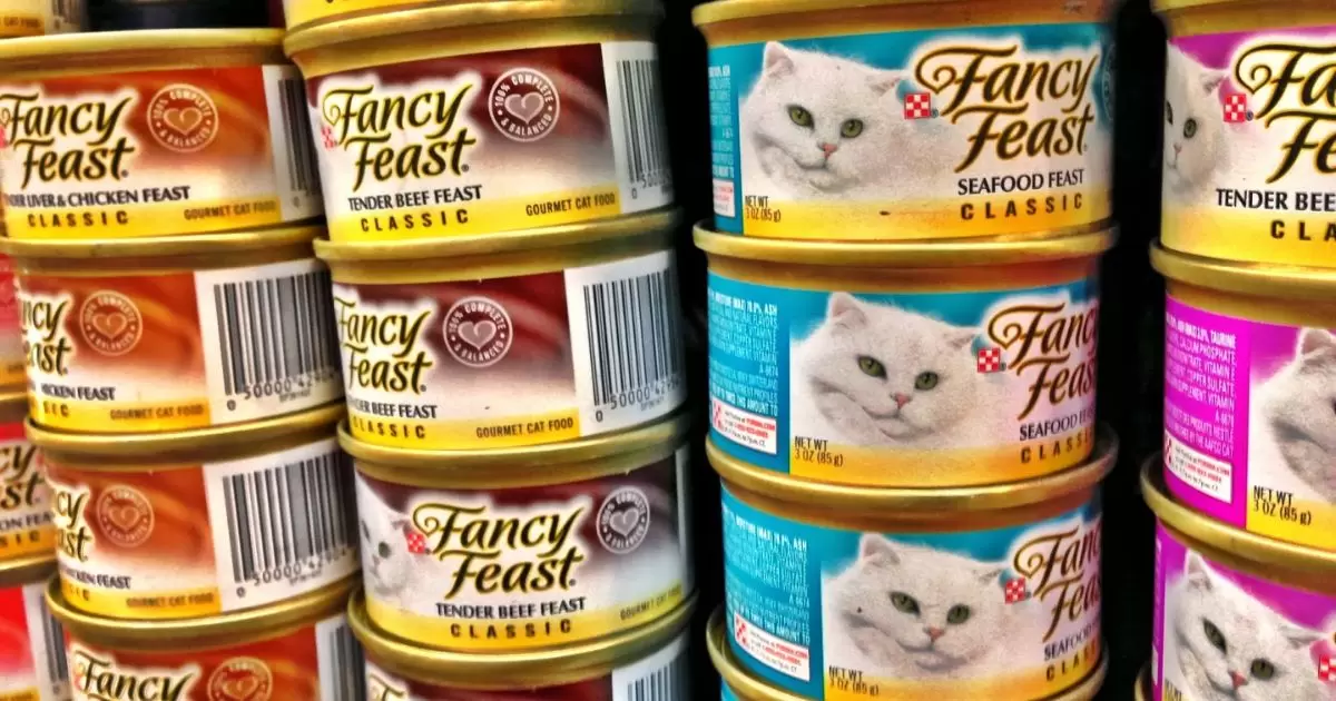 How Many Cans Of Cat Food A Day?