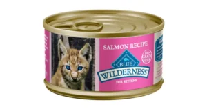 How Much Canned Cat Food Should I Feed?