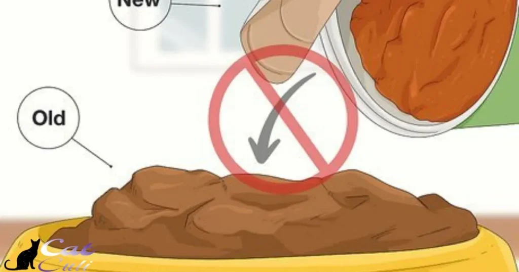 How to Store Wet Cat Food