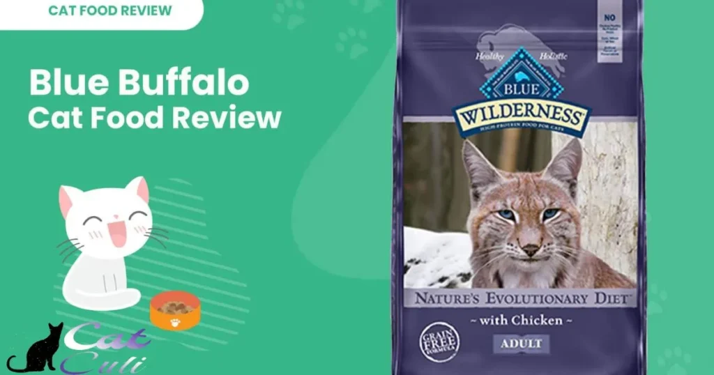 Is Blue Buffalo Cat Food Better Than Other Brands?