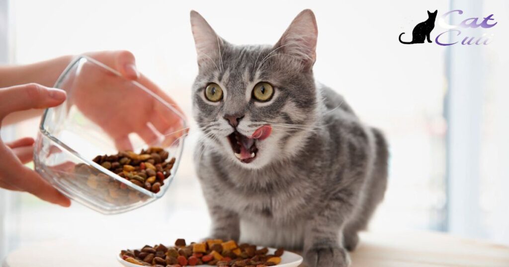 What Do Veterinarians And Cat Experts Say About Fancy Feast Cat Food?