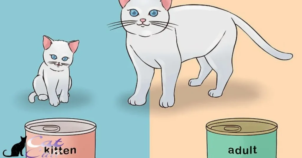 Switching from kitten food to cat food should typically occur around the age of one year. This transition is essential for meeting the changing nutritional needs of your growing cat. As kittens mature, their dietary requirements shift from the high protein and calorie content of kitten food to a more balanced adult cat diet.

When to Switch From Kitten Food to Cat Food